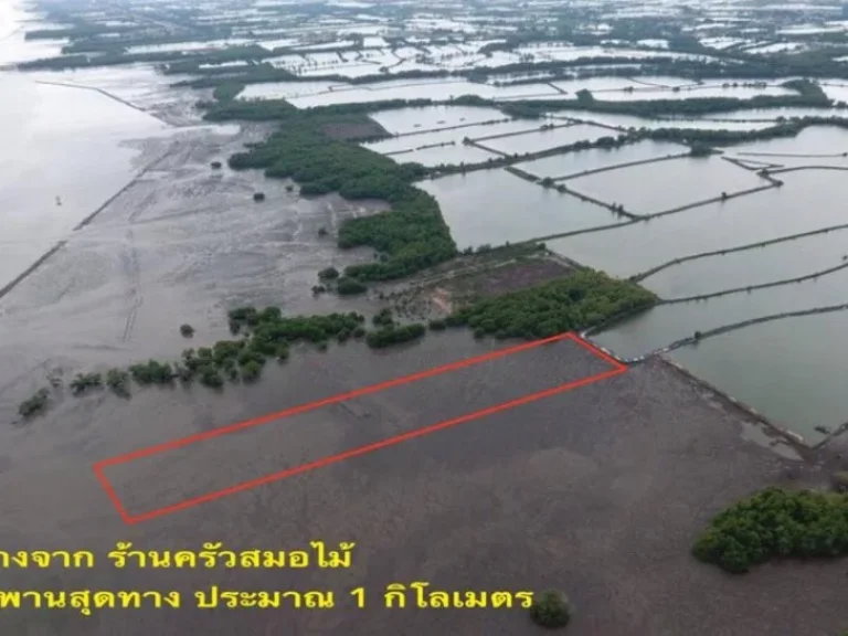 ขายที่ดินชายหาดริมทะเล อยู่คลองด่าน บางบ่อ สมุทรปราการ 7ไร่1งาน64ตรว ที่ดินเป็นโฉนด 1650ตรว