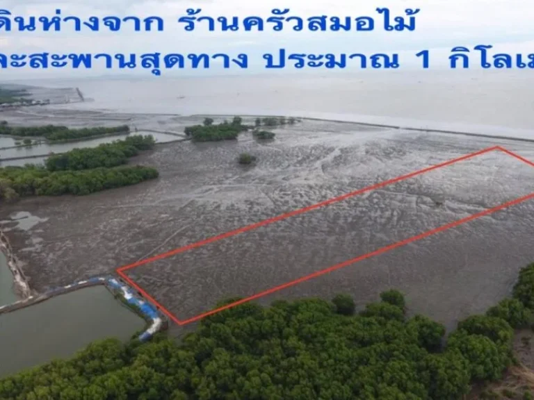 ขายที่ดินชายหาดริมทะเล อยู่คลองด่าน บางบ่อ สมุทรปราการ 7ไร่1งาน64ตรว ที่ดินเป็นโฉนด 1650ตรว