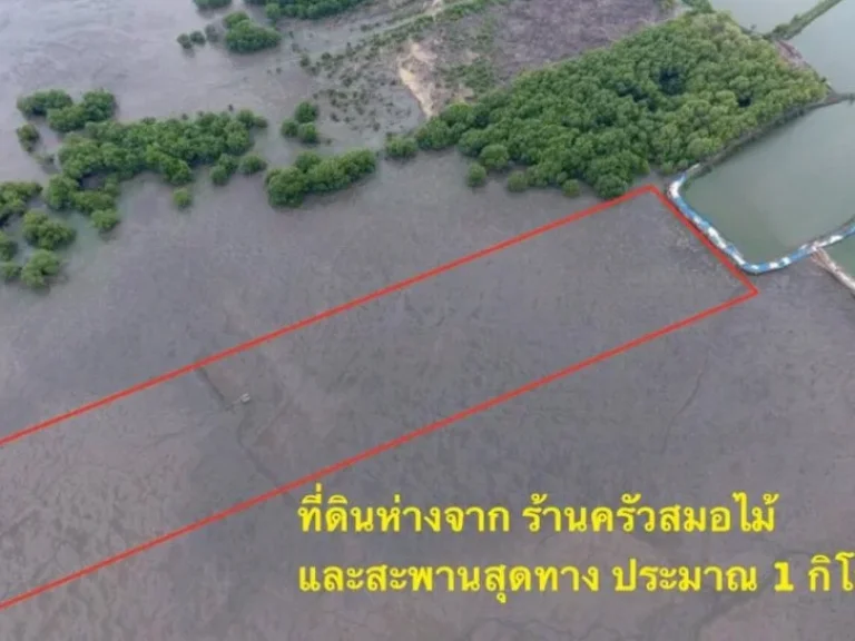 ขายที่ดินชายหาดริมทะเล อยู่คลองด่าน บางบ่อ สมุทรปราการ 7ไร่1งาน64ตรว ที่ดินเป็นโฉนด 1650ตรว