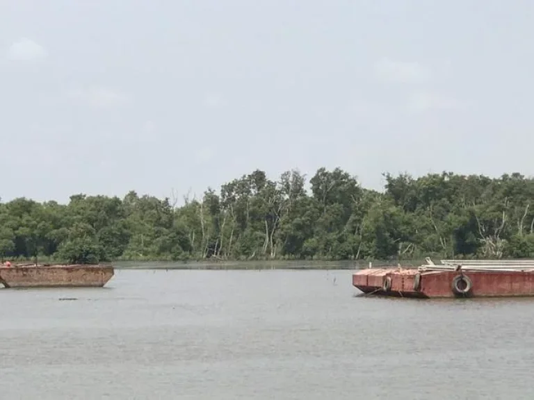 ขายที่ดินชายหาดริมทะเล อยู่คลองด่าน บางบ่อ สมุทรปราการ 7ไร่1งาน64ตรว ที่ดินเป็นโฉนด 1650ตรว