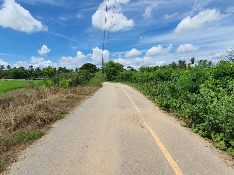 วิวธรรมชาติแบบท้องทุ่งนา ติดราดยาง 2 เลนน์ ได้ฟรีเขตรถไฟครอบครอง ติดคลองชล 2ไร่368ตารางวา