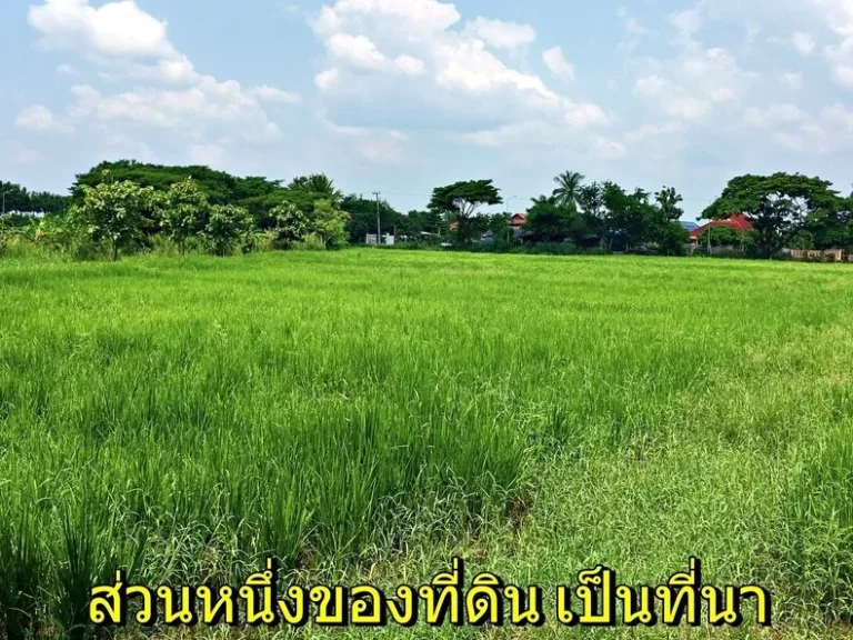 ขายที่ดิน ตำบลสันติสุข อำเภอดอยหล่อ จังหวัดเชียงใหม่