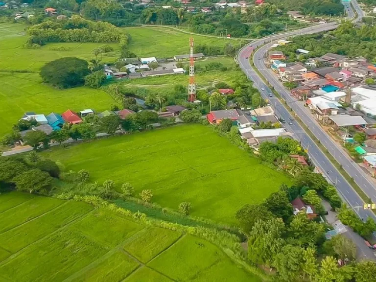 ขายที่ดิน ตำบลสันติสุข อำเภอดอยหล่อ จังหวัดเชียงใหม่