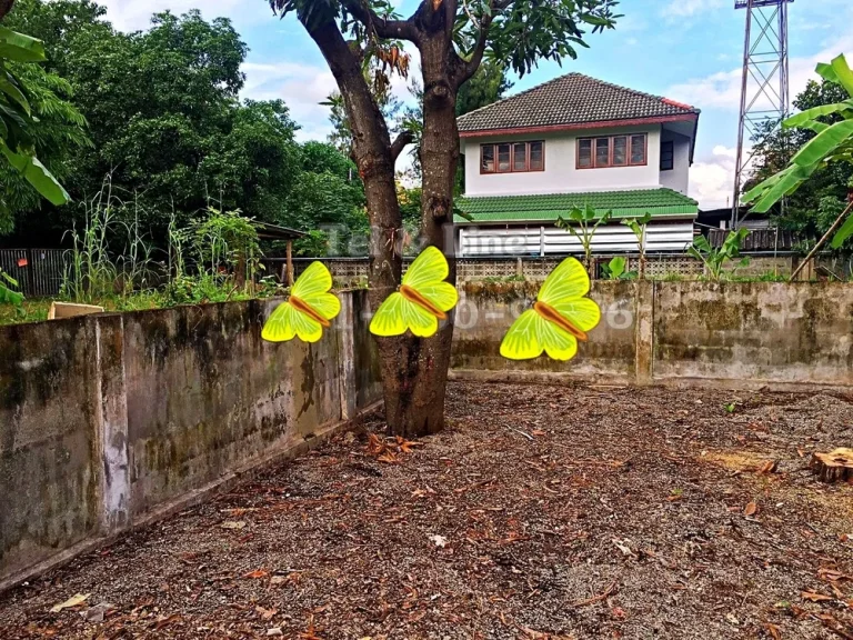 ขายที่ดินแปลงเล็กพร้อมบ้านไม้เก่า ราคาไม่ถึงล้าน ตำบลแม่เหียะ อำเภอเมือง จังหวัดเชียงใหม่