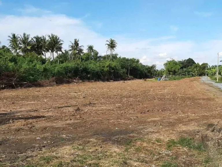 ขายที่ดินถมแล้ว ติดแม่น้ำท่าจีน ศรีประจันต์ สุพรรณบุรี