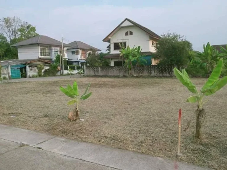 ขายที่ดินสันทรายสันทรายหลวงแปลงมุมติดถนนสองด้านราคาถูก