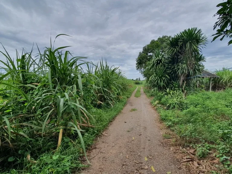 ทำเลดีเหมาะสำหรับทำหมู่บ้านจัดสรร ที่ดินถมทั้งแปลงติดทางสาธารณะ ติดคลองส่งน้ำ ใกล้ด่านเก็บเงินมอเตอร์เวย์ 3ไร่ 2 งาน