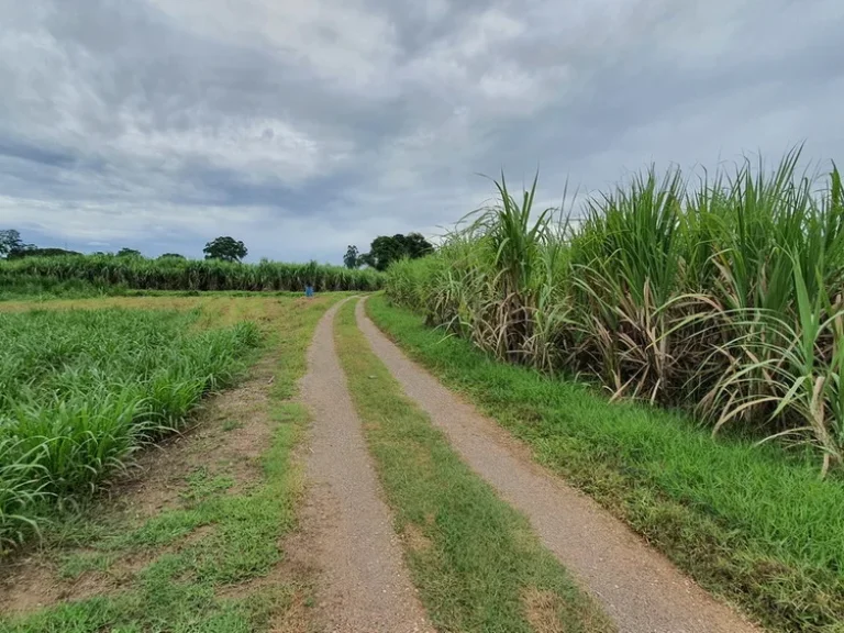 ทำเลดีเหมาะสำหรับทำหมู่บ้านจัดสรร ที่ดินถมทั้งแปลงติดทางสาธารณะ ติดคลองส่งน้ำ ใกล้ด่านเก็บเงินมอเตอร์เวย์ 3ไร่ 2 งาน