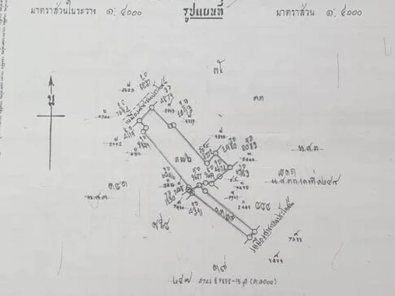 ขายที่ดินแปลงใหญ่ อเมืองลำพูน เหมาะสำหรับทำบ้านจัดสรร