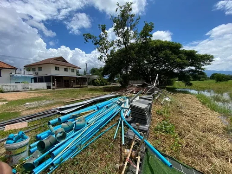 ขายที่ดินตสันพระเนตร อสันทราย จเชียงใหม่ ติดทุ่งนา ลำเหมือง เนื้อที่ 234 ตรว