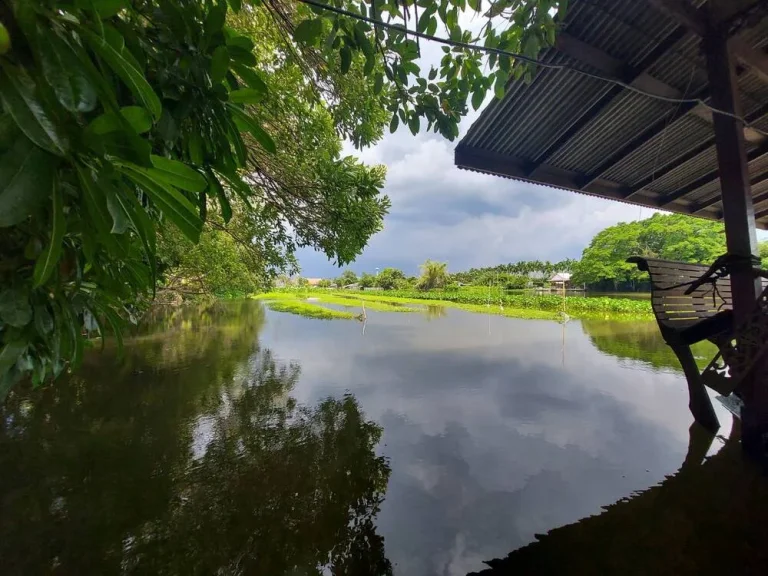 ขายที่ดินติดแม่น้ำท่าจีน นครชัยศรี สามพราน เนื้อที่ 2-3-46 ไร่ ติดถนนซอยสาธารณะ ใกล้สวนสมบัติ