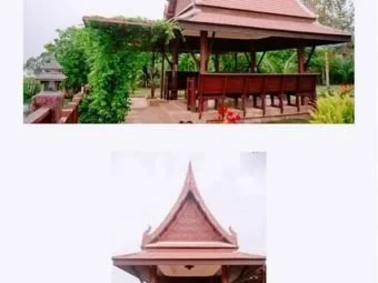 For Sale บ้านเรือนไทย ริมแม่น้ำเจ้าพระยา สนามไชย บางไทร อยุธยา