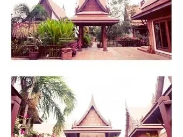 For Sale บ้านเรือนไทย ริมแม่น้ำเจ้าพระยา สนามไชย บางไทร อยุธยา