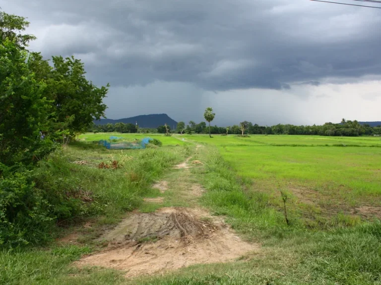 ขายที่ดิน โฉนด 26ไร่ ติดลำตะคอง ตลาดบัวขาว อสีคิ้ว