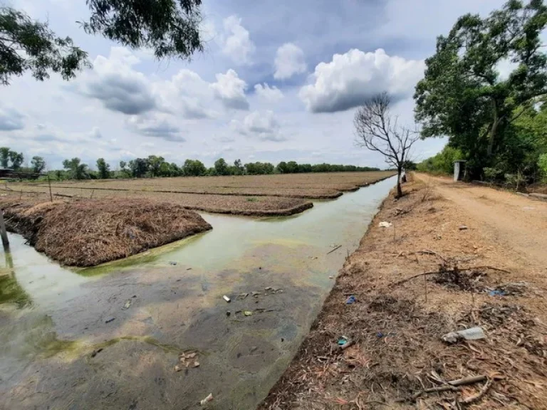 ขายที่ดิน ในคลอง 12 หนองเสือ ราคาหลักแสน จังหวัดปทุมธานี