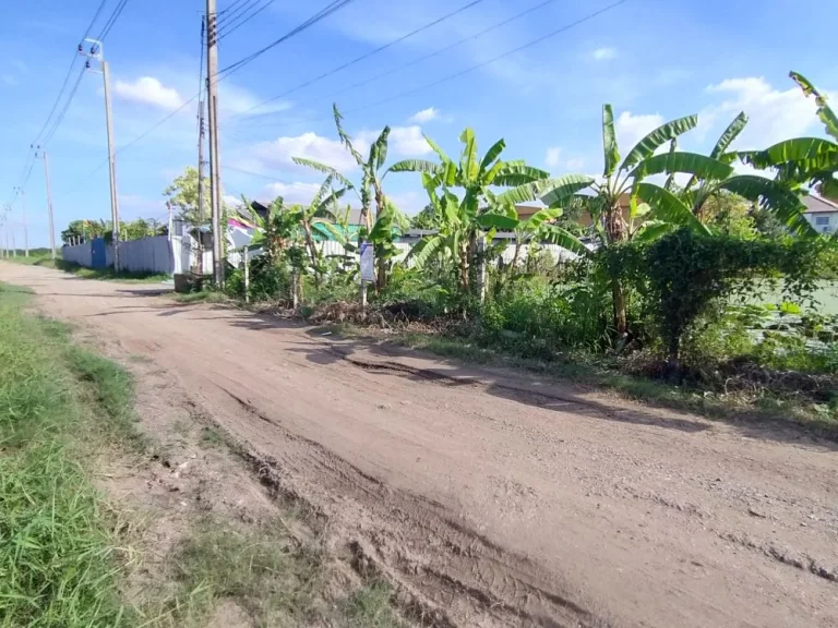 ขายที่ดินเปล่า 2 ไร่ ถนนพัฒนาชนบท 3 ซอยสมรใกล้สนามบินสุวรรณภูมิ