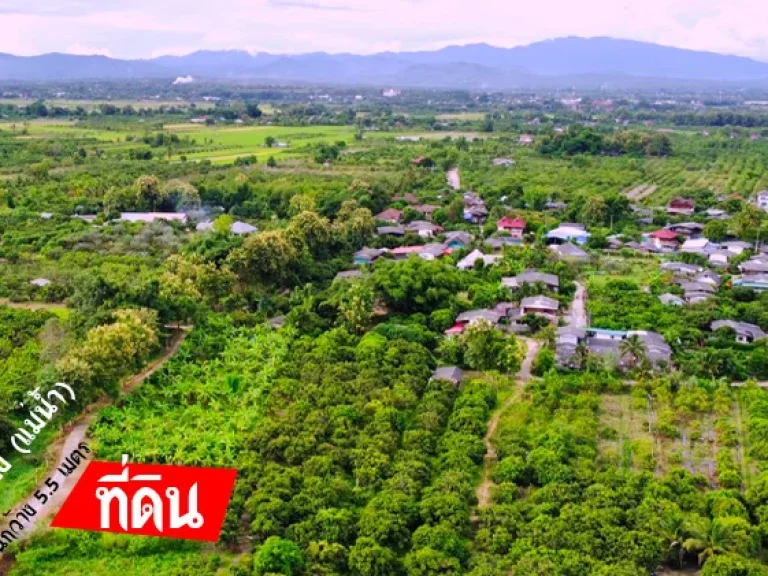 ที่ดินเชียงใหม่ 100 ตรว-ห่างสนามบินเชียงใหม่ 32 กม ไฟฟ้าและประปาพร้อม