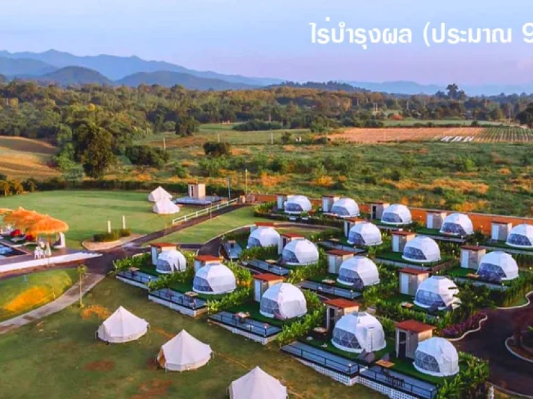 ที่ดินแม่วาง 100 ตรว 289000 บาท - มีไฟฟ้า มีประปา ถมแล้ว ด้านหน้าติดแม่น้ำ