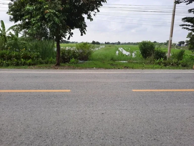 ขายที่ดินหนองจอก ติดถนนสังฆสันติสุข พื้นที่สีเขียว ตกระทุ่มราย อหนองจอก กทม