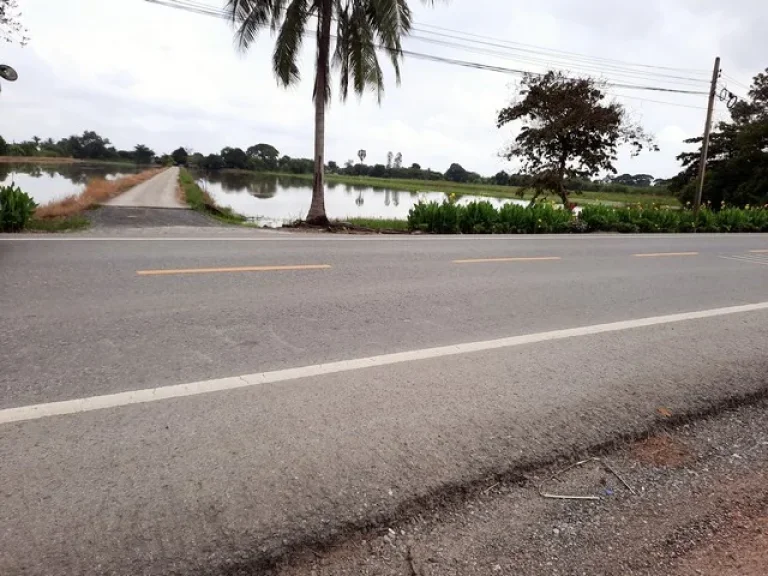 ขายที่ดินหนองจอก ติดถนนสังฆสันติสุข พื้นที่สีเขียว ตกระทุ่มราย อหนองจอก กทม