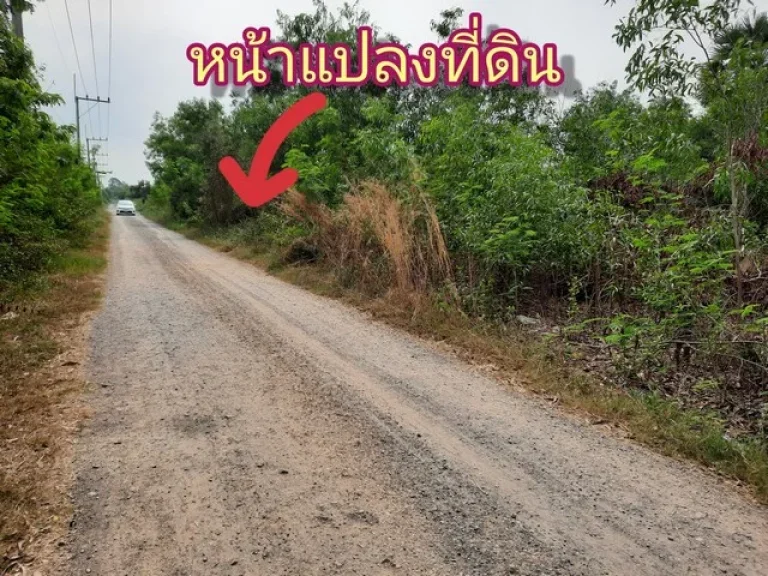 ที่ดินคลองหกใกล้ รรอุดมศึกษารังสิต ตคลองคลองหก อคลองหลวง จปทุมธานี