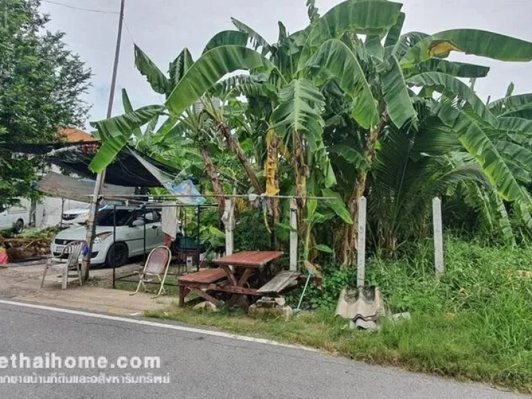 ขายที่ดินถมแล้ว ใกล้สถานีรถไฟฟ้าบางใหญ่ ถรัตนาธิเบศร์ ซเกล้ารัตนา ซอย4 พื้นที่ 172 ตรว วาละ 40000 บาท ทำเลดี เหมาะสำหรับปลูกบ้านเพื่ออยู่อาศัย