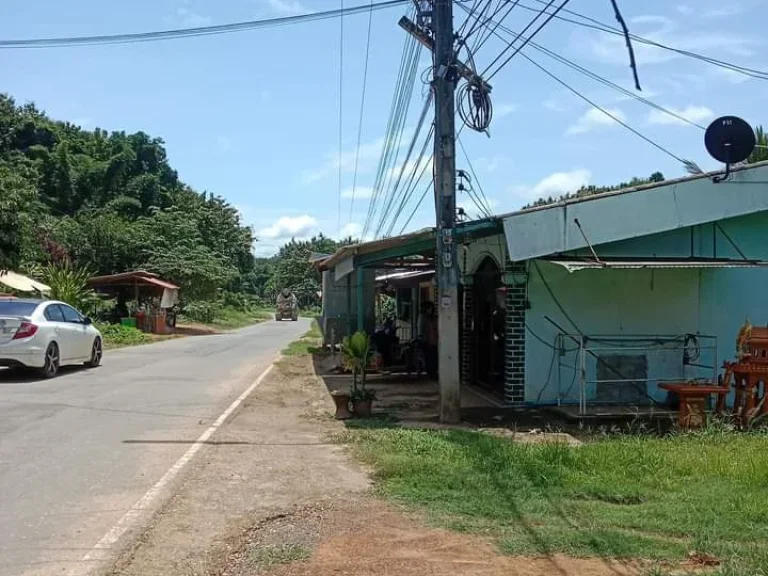 บ้านพร้อมที่ดิน โฉนด ติดถนนลาดยาง กลางชุมชน ค้าขายได้ ขายเพียง 5 แสนบาทเท่านั้น