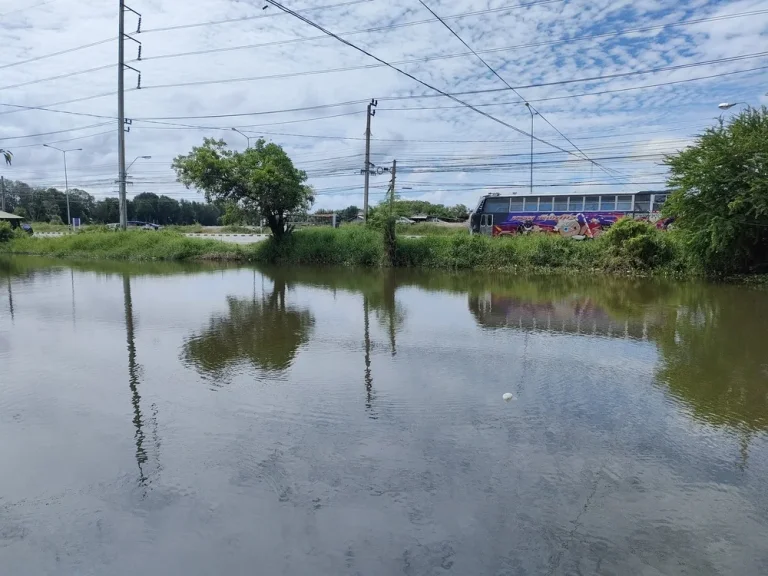 ขายที่ดินสวยถูก ติดถนนสุขุมวิท-คลองด่าน เหมาะทำโครงการบ้านจัดสรร