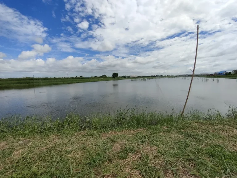 ขายที่ดินสวยถูก ติดถนนสุขุมวิท-คลองด่าน เหมาะทำโครงการบ้านจัดสรร