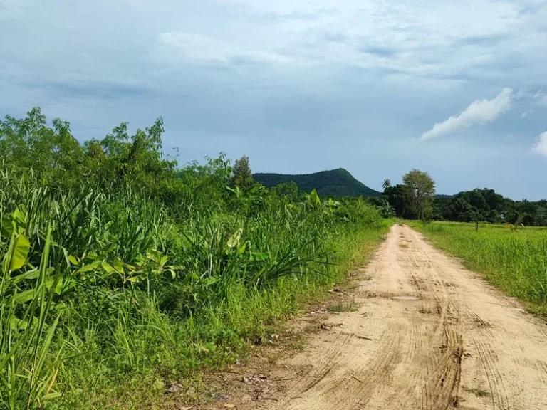 ขายที่ดินติดแม่น้ำเพชรบุรี 7 ไร่ แปลงสวย วิวเขาใน ตกลัดหลวง