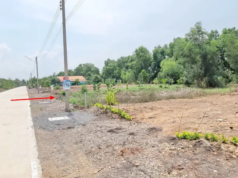 ขายที่ดิน คลองหลวงปทุมธานี ติดถนนคลองสี่ตะวันออก ซอย68