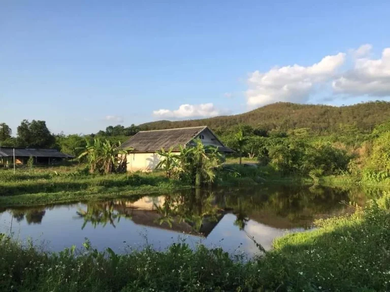 ขายถูก เหมือนให้ฟรี ที่ดินผืนใหญ่223ไร่ พร้อมบ้านบนเนินเขาสูงสุดของพื้นที่ อพร้าว เชียงใหม่ วิวภูเขา ที่สวนขนาดใหญ่ คุ้ม Chiangmai Land for sale