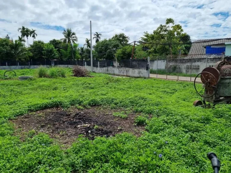 ขายที่ดินบ้านโขงขาวซอยวัดศรีล้อมบ้านแหวนหางดงพร้อมโอน