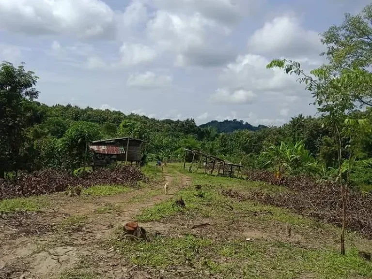 ที่ดินแปลงใหญ่ ราคาถูก 12 แสนไร่ อท่าปลา อุตรดิตถ์