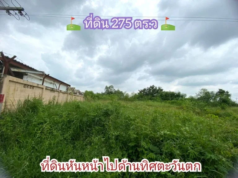 ขายที่ดิน 275 ตารางวาติดถนนบางบัวทอง-สุพรรณบุรี340 เยื้องโรงงานเถ้าแก่น้อยอลาดหลุมแก้ว