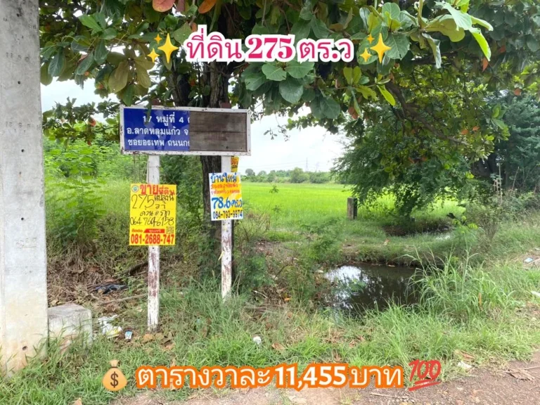 ขายที่ดิน 275 ตารางวาติดถนนบางบัวทอง-สุพรรณบุรี340 เยื้องโรงงานเถ้าแก่น้อยอลาดหลุมแก้ว