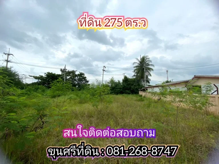 ขายที่ดิน 275 ตารางวาติดถนนบางบัวทอง-สุพรรณบุรี340 เยื้องโรงงานเถ้าแก่น้อยอลาดหลุมแก้ว