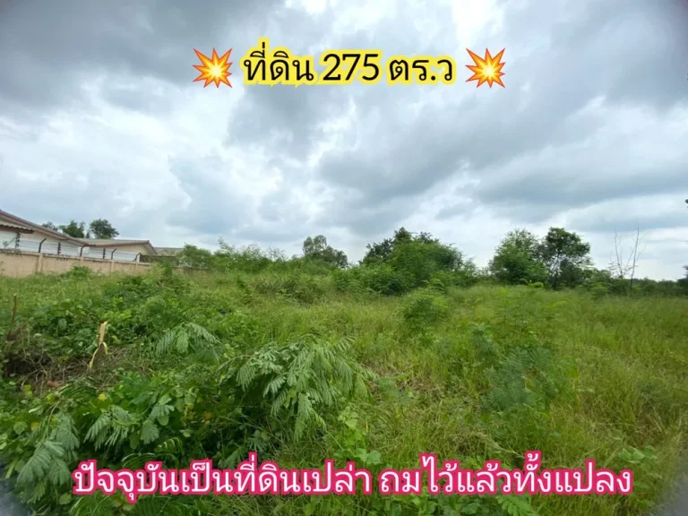 ขายที่ดิน 275 ตารางวาติดถนนบางบัวทอง-สุพรรณบุรี340 เยื้องโรงงานเถ้าแก่น้อยอลาดหลุมแก้ว