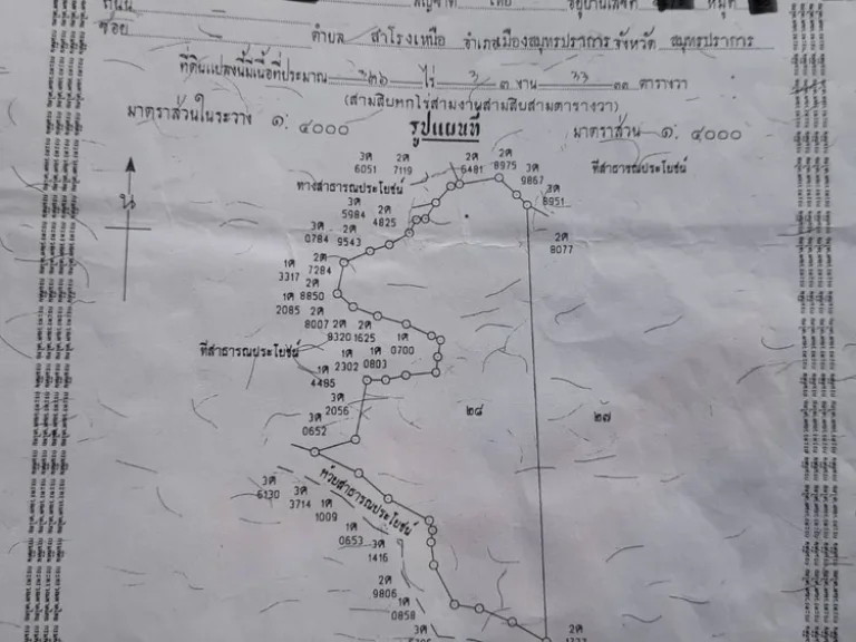 สวนป่า 74 ไร่ ใกล้แม่น้ำน่าน100เมตร ติดถนน อยู่ในตัวอำเภอทุ่งช้าง น่าน