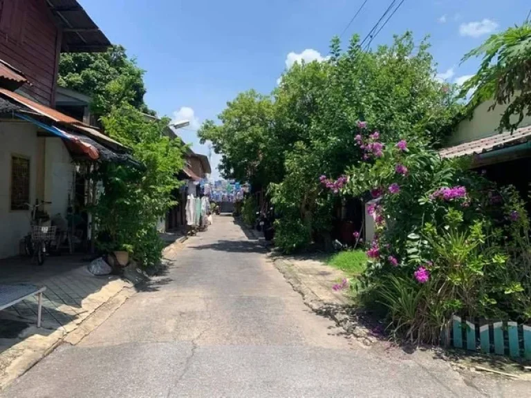 ขายด่วนห้องแถวเรือนไม้3ห้อง อำเภอโพธาราม จังหวัดราชบุรี