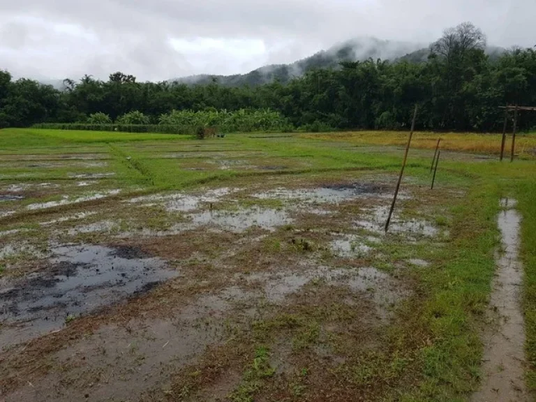 ขายที่ดิน 1ไร่ 8ส หลังโหม้งกระต่าย มีถนน ไฟฟ้า น้้ำประปา บ้านแม่สาบ ตสะเมิงใต้ อสะเมิง เชียงใหม่