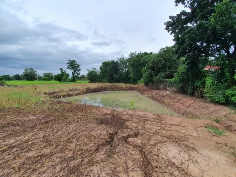 ที่ดิน 1ไร่ 80 ตรว 8 ใกล้วัดตะโก ตดอนหญ้านาง อภาชี อยุธยา