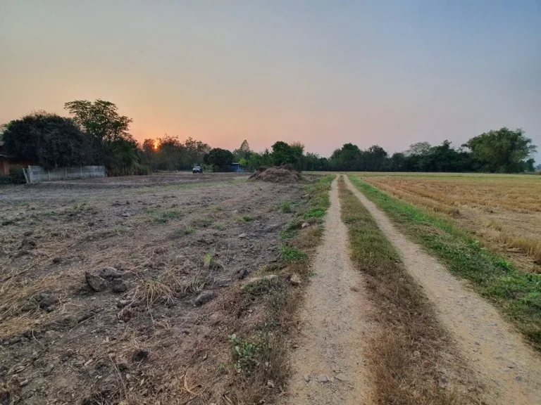 ที่ดิน 1ไร่ 80 ตรว 8 ใกล้วัดตะโก ตดอนหญ้านาง อภาชี อยุธยา