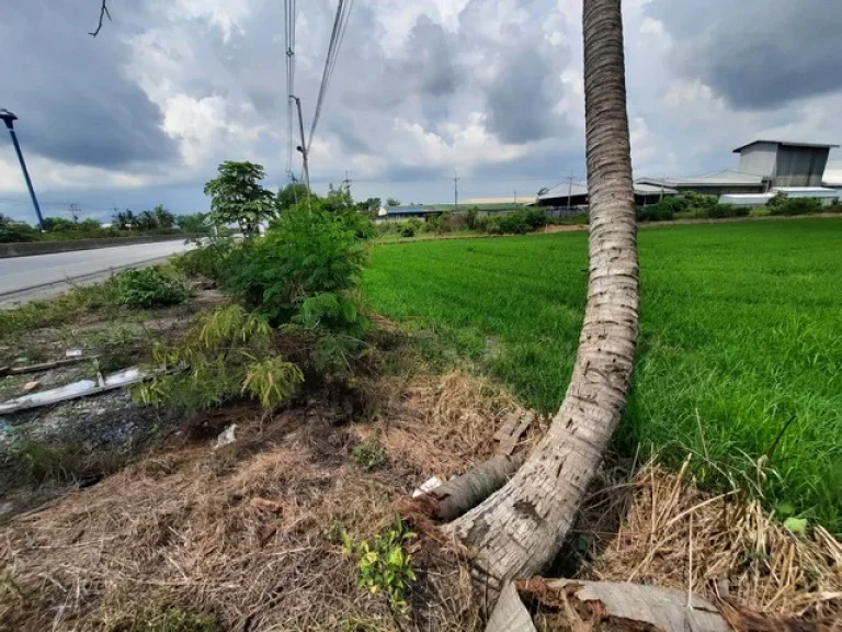 ขายที่ดินคลองเจ็ด ติดถนนธัญบุรี-วังน้อย คลองหลวง จปทุมธานี