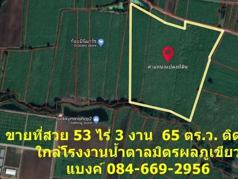 ขายที่สวยติดถนน 53 ไร่ 3 งาน 65 ตรวขายที่สวยติดถนน 53 ไร่ 3 งาน 65 ตรว