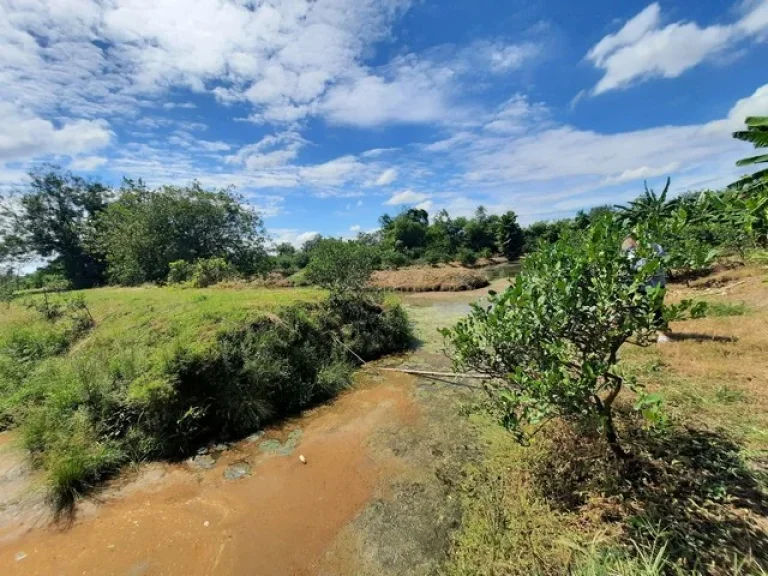 ขายที่ดิน ในคลอง13 ลำลูกกา ตำบลพืชอุดม อำเภอลำลูกกา จังหวัดปทุมธานี