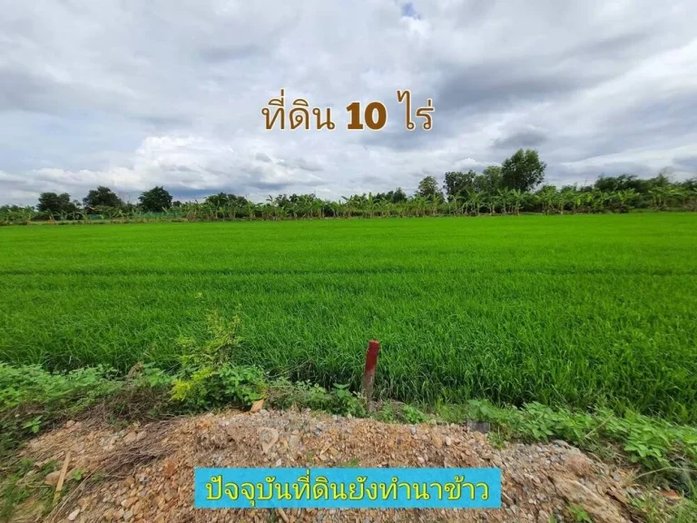 ขายถูกที่สุด ที่ดินคลองห้า 10 ไร่แบ่งได้ทำเลดี มีอนาคตคลองห้า ฝั่งตะวันออก 65 อคลองหลวง