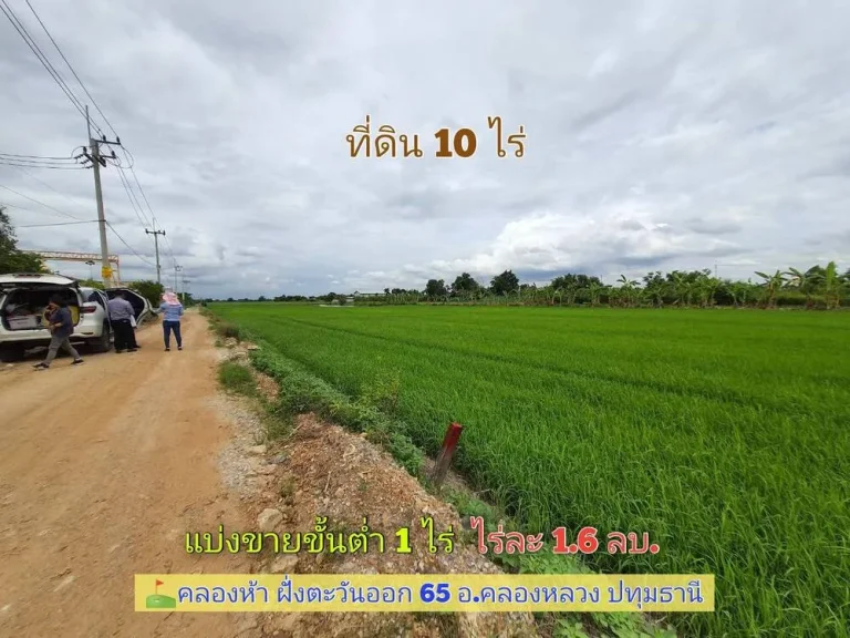 ขายถูกที่สุด ที่ดินคลองห้า 10 ไร่แบ่งได้ทำเลดี มีอนาคตคลองห้า ฝั่งตะวันออก 65 อคลองหลวง