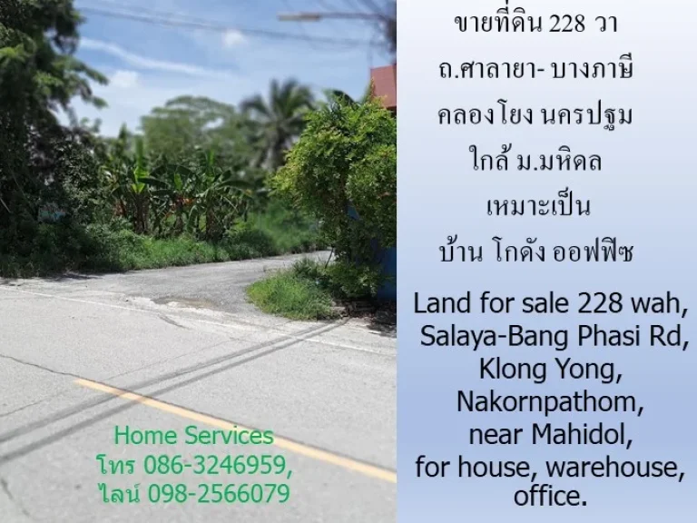 ขายที่ดิน 228 วา ถศาลายา- บางภาษี คลองโยง นครปฐม ใกล้ มมหิดล เหมาะเป็นบ้าน โกดัง ออฟฟิซ