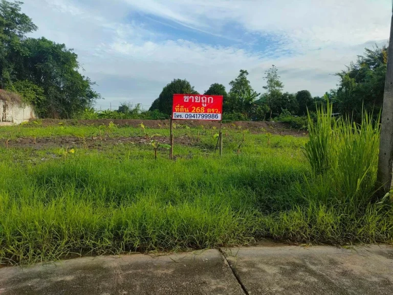 ขายที่ดินเปล่า 268 ตรว ติดมหาวิทยาลัยรังสิต สถานีรถไฟฟ้าหลักหก ปทุมธานีราคาพิเศษ